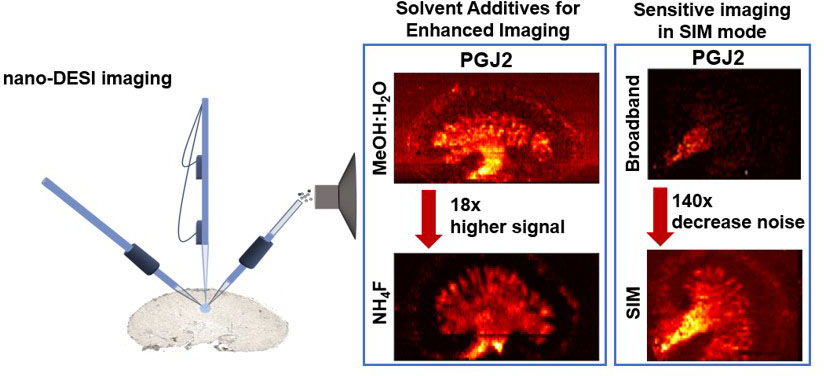 Selected ion monitoring to increase the sensitivity of nano-DESI MSI towards eicosanoids.