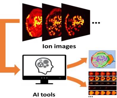 Artificial Intelligence for MSI Data Analysis