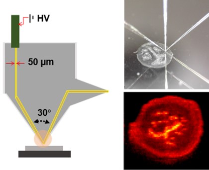 Microfluidic Probe for High Throughput Imaging of Biological Samples
