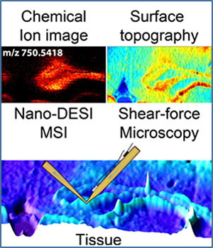 Chemical ion image, surface topography, nano-DESI MSI, Shear-force microscopy and tissue