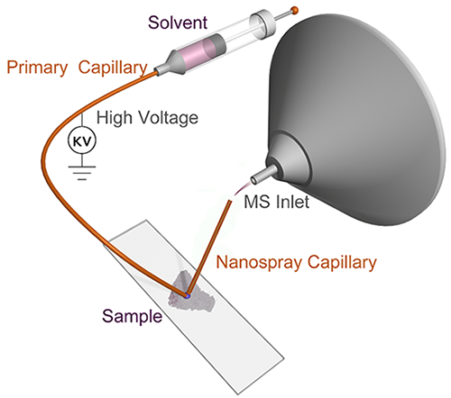 Nanospray desorption apparatus