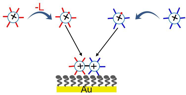 Unique nanoclusters