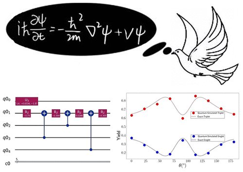 Avian Compass