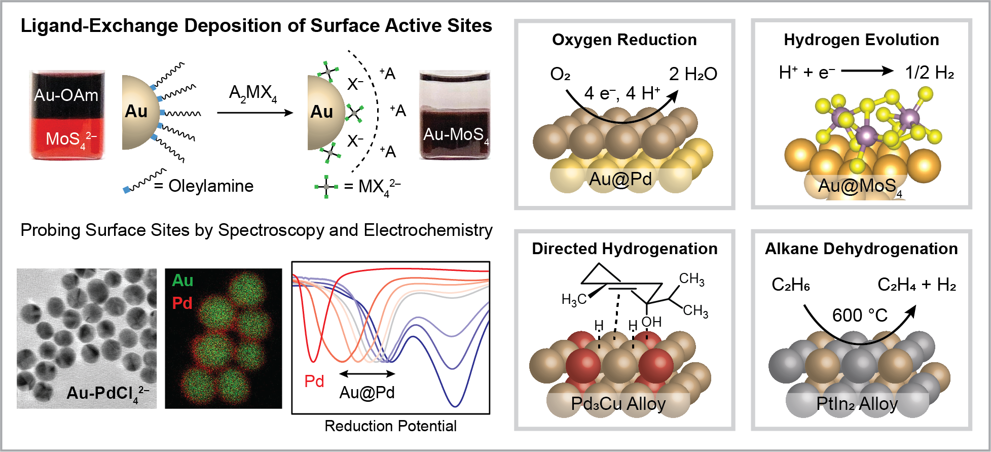Research-Ligand NPs