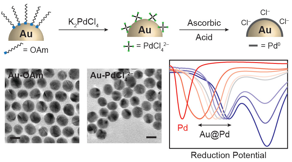 AuPd_TOC