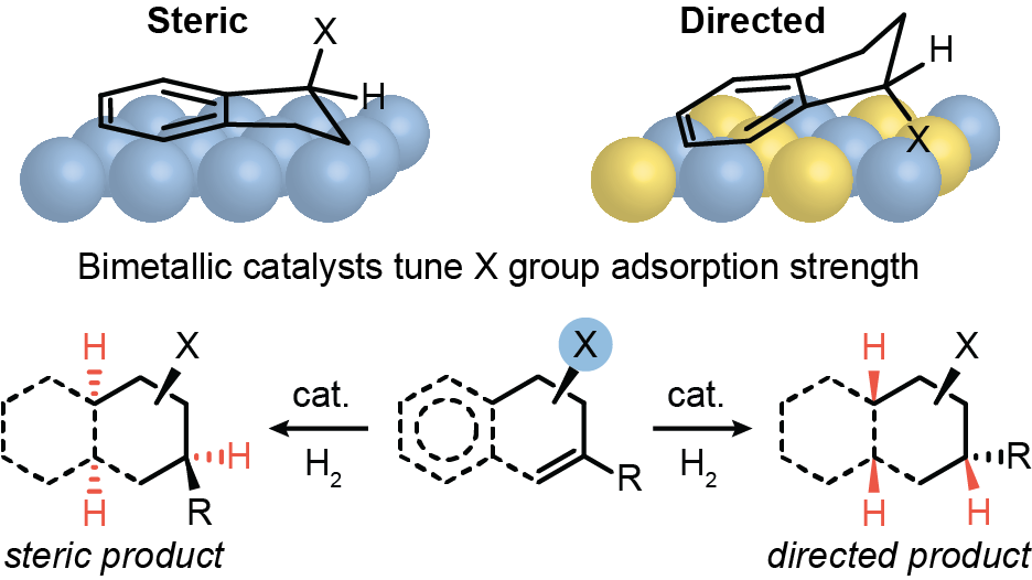 Hong_2022_ACSCatal.png