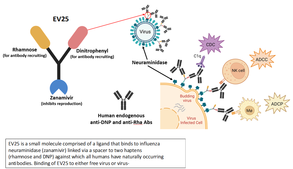 disease 2