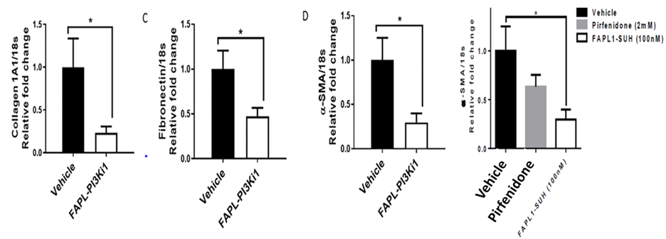 Freshly precision cut human idiopathic pulmonary  fibrosis lung slices were soaked in the same FAP-targeted PI-3-kinase inhibitor  and examined for changes in markers of fibrosis.
