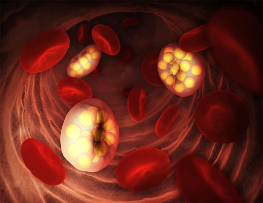 A Cure for Malaria