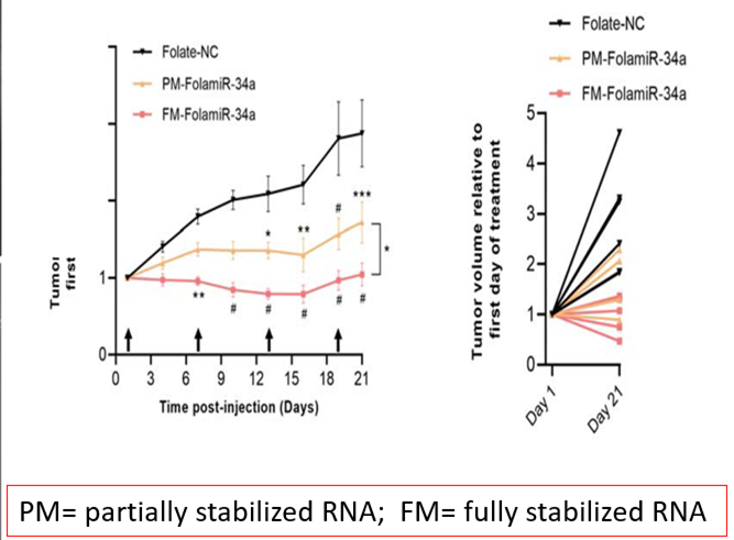 This demonstrates our ability to suppress tumor growth with a microRNA termed miR34a.