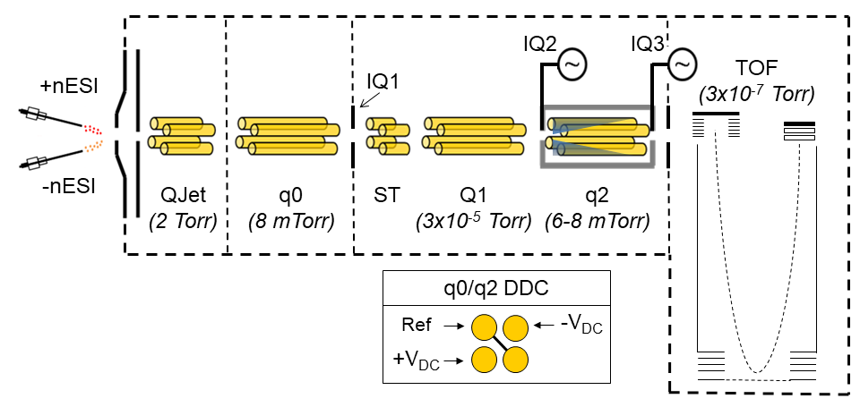 5600 Schematic