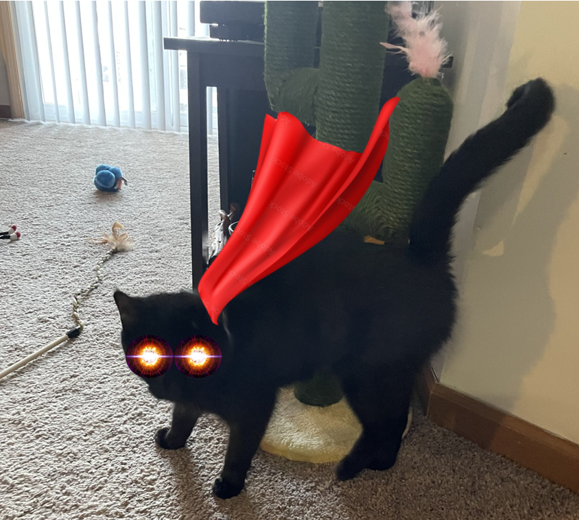 Pet Pic