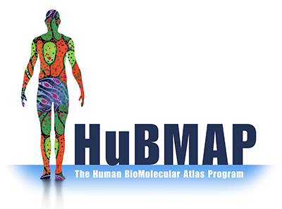 HuBMAP logo