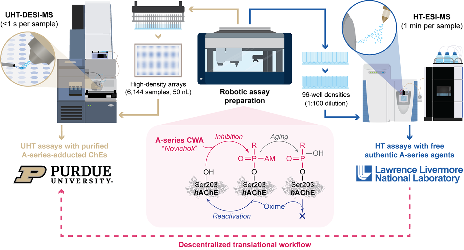Graphic depicting mass spec