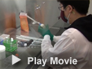 Play Cell Culture Video