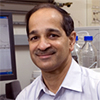 Dr. P. Ramachandran