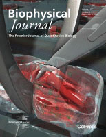 Biophysical Journal cover.