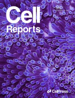 Cover of Cell Reports.