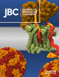 Journal of Biological Chemistry cover.