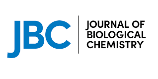 JBC: Journal of Biological Chemistry.