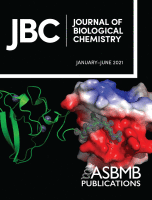 JBC: Journal of Biological Chemistry, January - June 2021 cover.