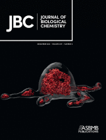 JBC: Journal of Biological Chemistry.