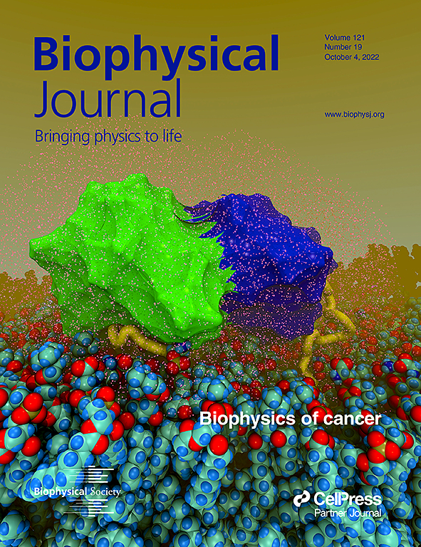 Biophysics Journal, October 4 2022 cover.