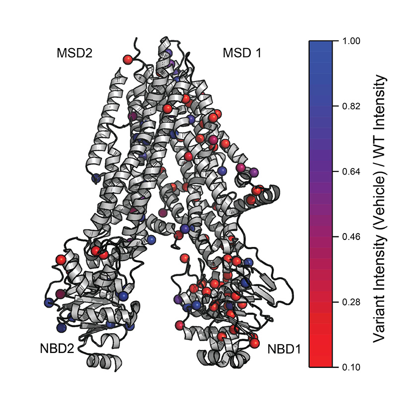 Disease-linked membrane proteins