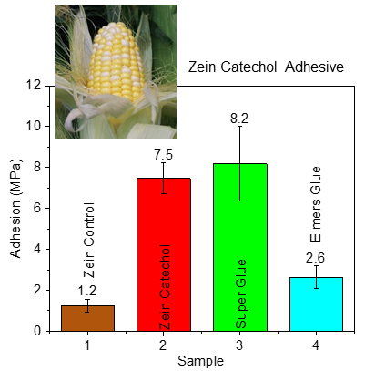 Bar graph comparing the adhesion of different types of adhesives