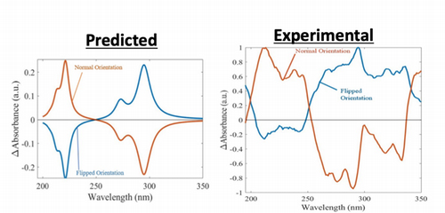 predicted vs experimental