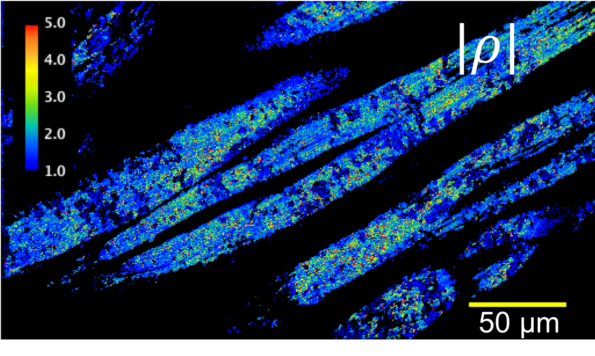 Rho map