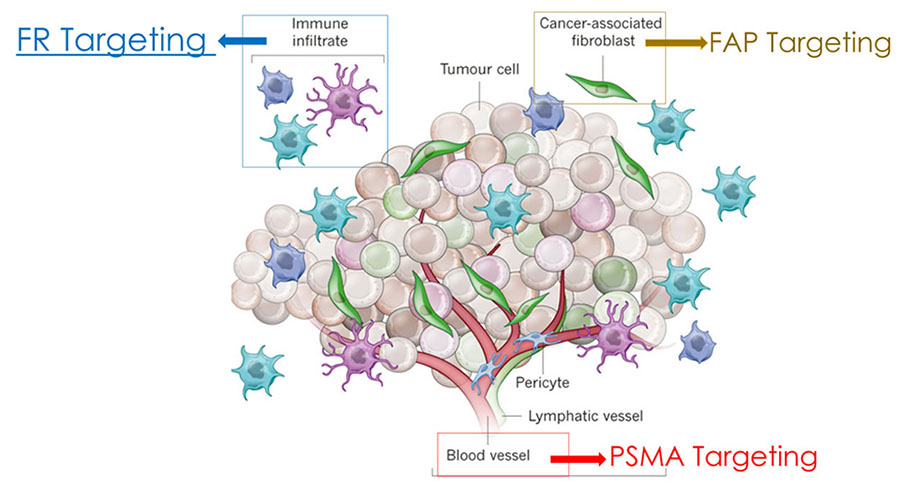 Ligand-targeted cell therapies for cancer