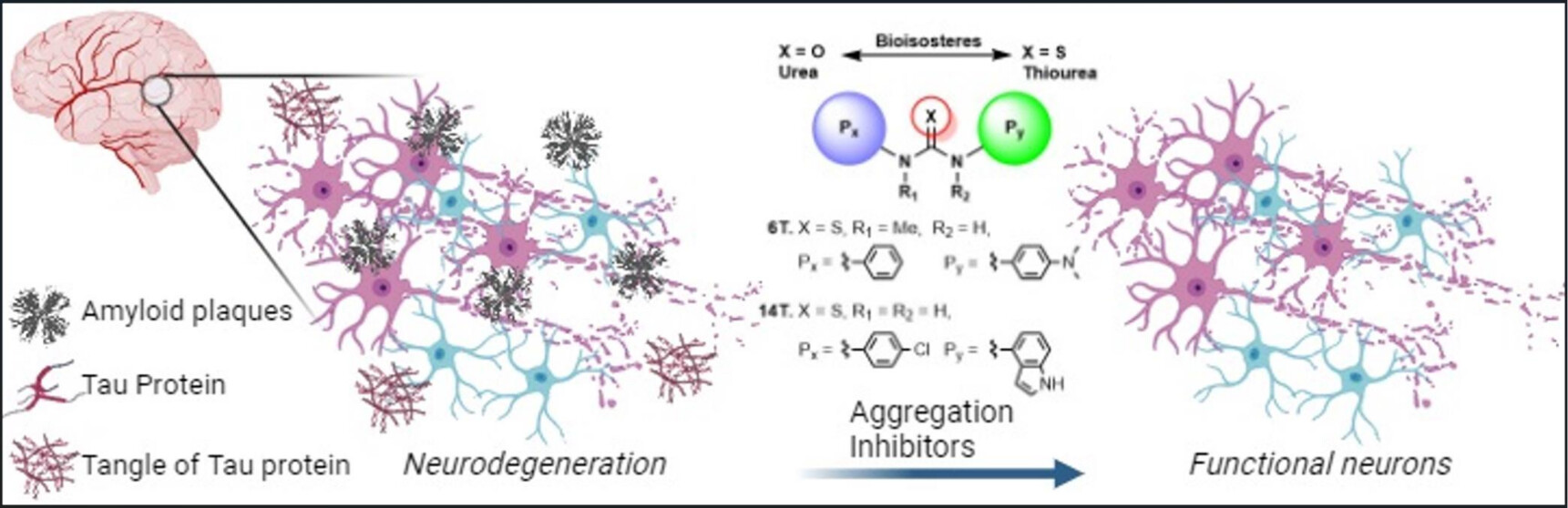 ACSChemNeuro