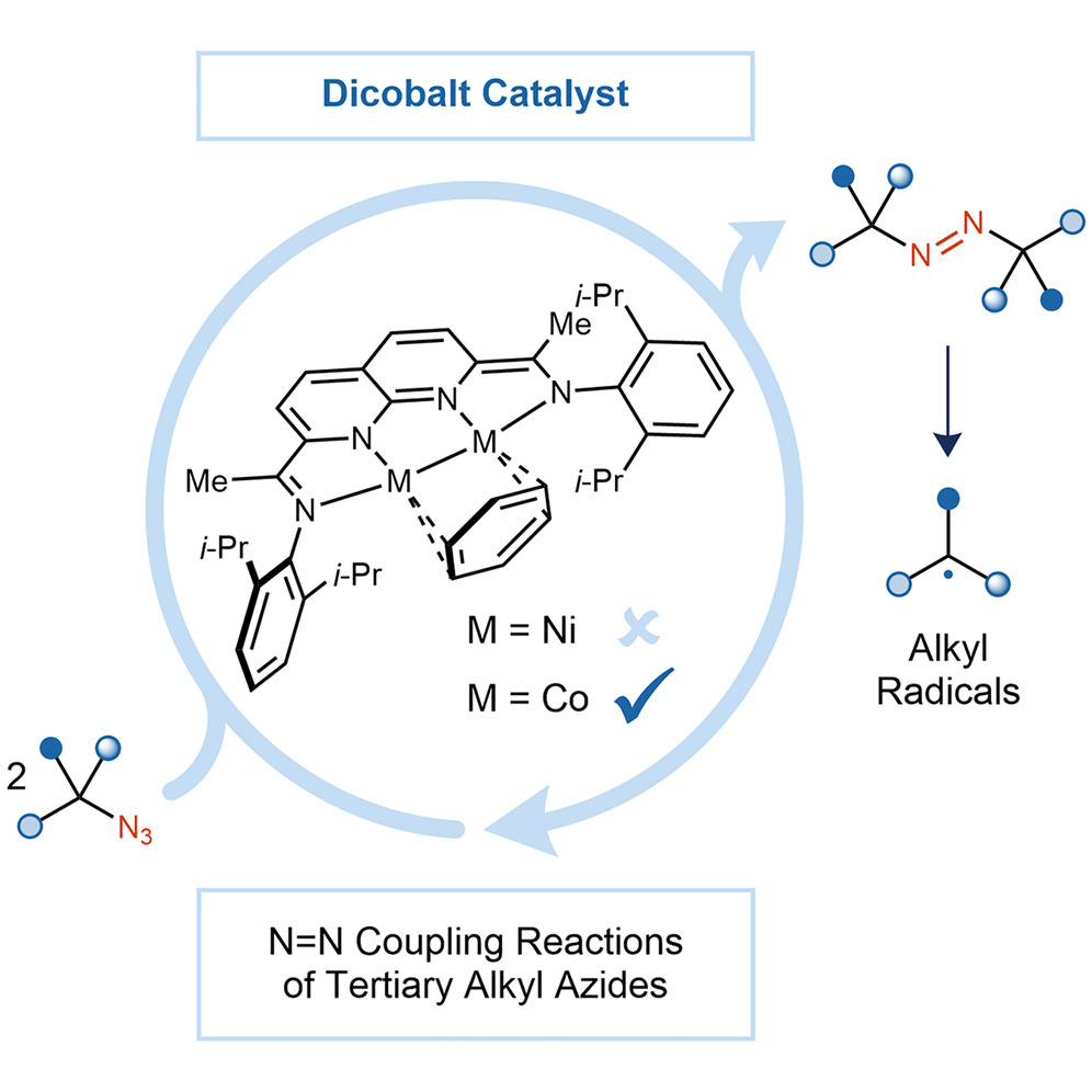 TOC_AlkylAzideCoupling