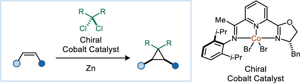 TOC_CoAsymmetricCyclopropanation.jpeg