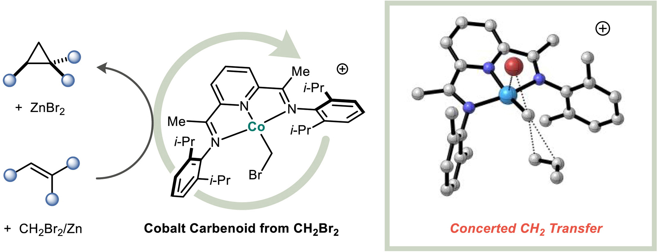 TOC_CoCarbeneCyclopropanationMechanistic
