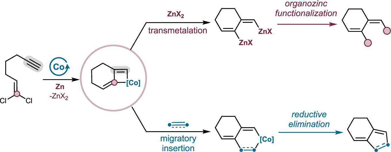 TOC_Intramolecular_Alkyne_Vinylidene