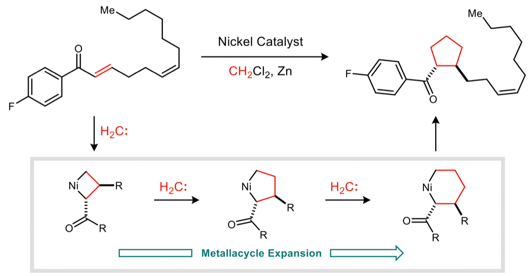 JACS-CF