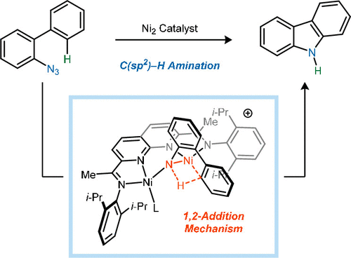 OM-CH-amination