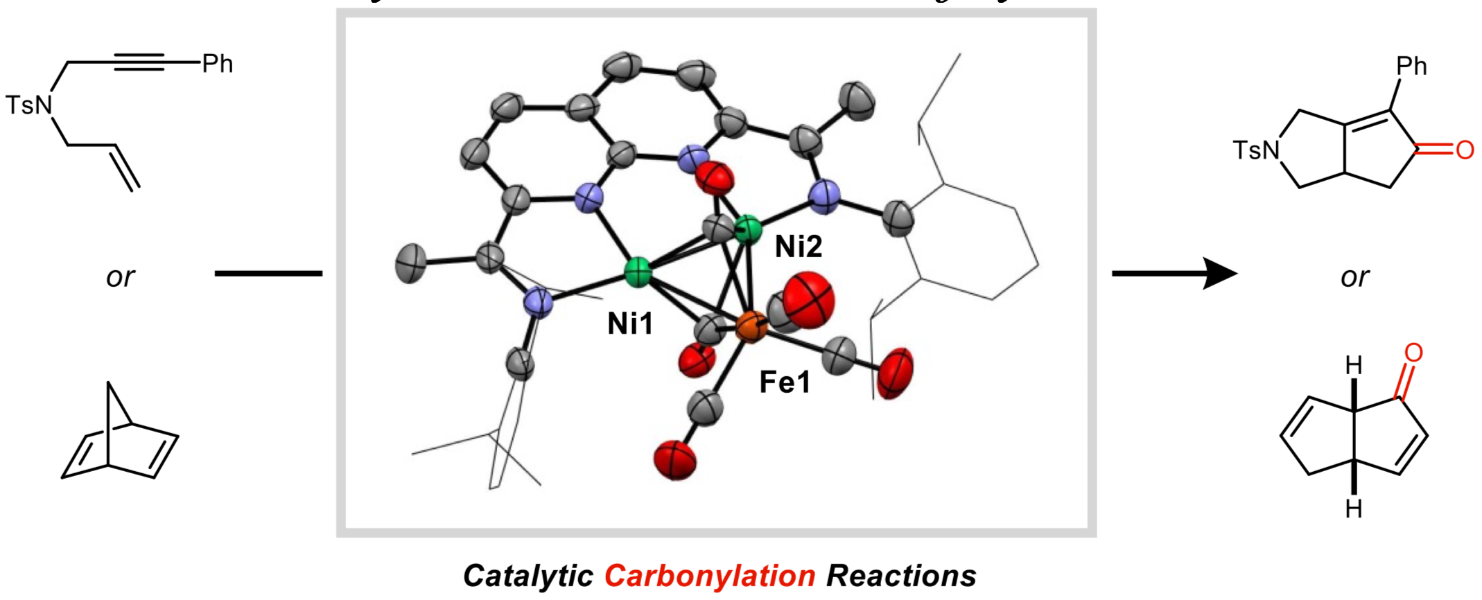 JACS-CF