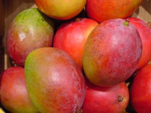 mangoes
