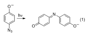 Equation 1