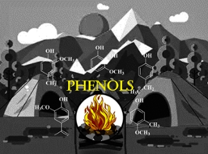 Mass Spectrometric Detection of Phenols using the Gibbs Reaction