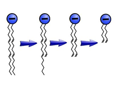 Gas Phase Pyrolosis