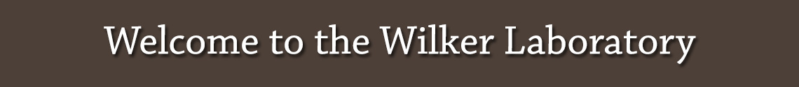 Welcome to the Wilker Laboratory