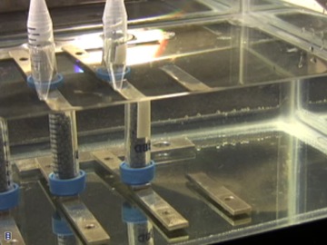 Bonding metal substrates while underwater.