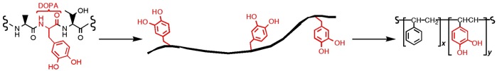 Complex proteins simplified into synthetic polymers.