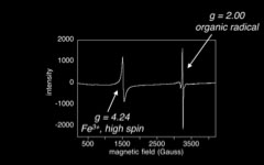  An electron paramagnetic resonance (EPR) spectrum of fresh mussel adhesive.